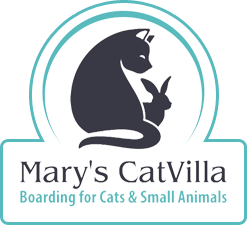 Marys CatVilla